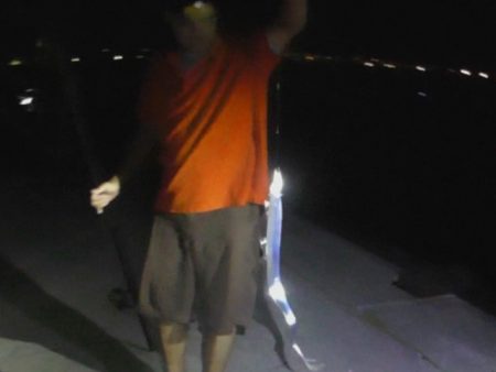 アオリイカと太刀魚好調